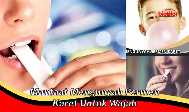 manfaat mengunyah permen karet untuk wajah