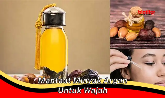 Temukan 5 Manfaat Minyak Argan untuk Wajah yang Jarang Diketahui