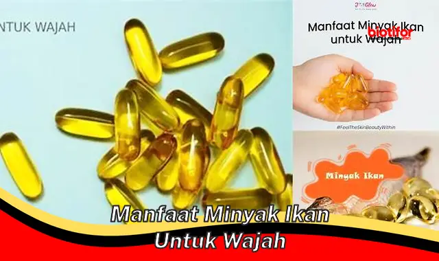 manfaat minyak ikan untuk wajah