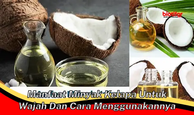 manfaat minyak kelapa untuk wajah dan cara menggunakannya