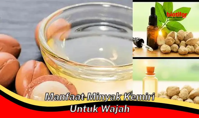 Temukan Manfaat Minyak Kemiri Untuk Wajah Yang Jarang Diketahui