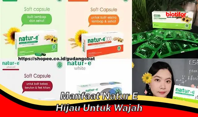 manfaat natur e hijau untuk wajah