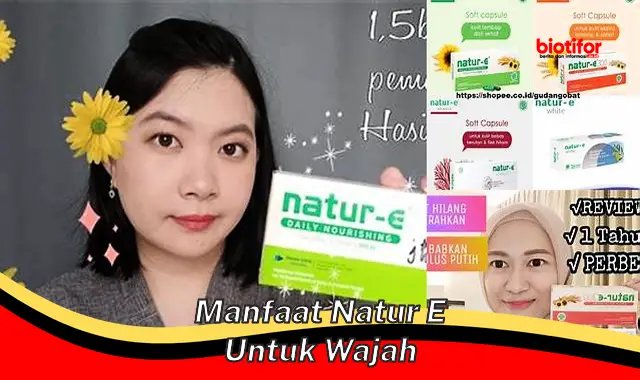 manfaat natur e untuk wajah