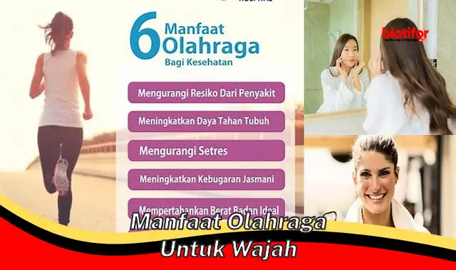 manfaat olahraga untuk wajah