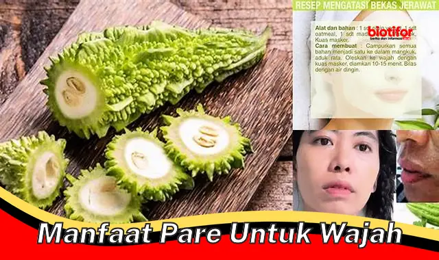 Temukan 5 Manfaat Pare Untuk Wajah Yang Belum Diketahui Biotifor 1243