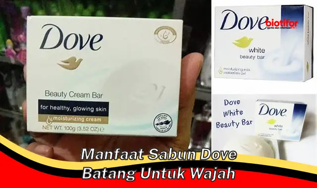 Temukan Manfaat Sabun Dove Batang untuk Wajah yang Jarang Diketahui