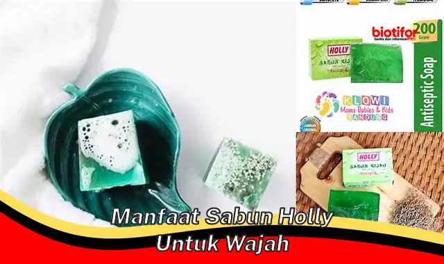 manfaat sabun holly untuk wajah