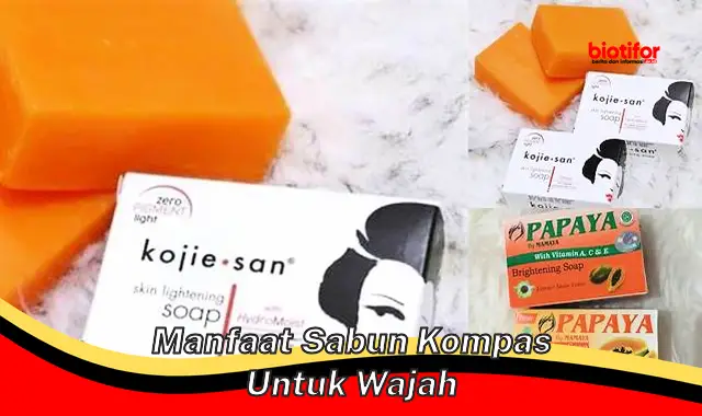 Temukan Rahasia Sabun Kompas untuk Wajah yang Jarang Diketahui