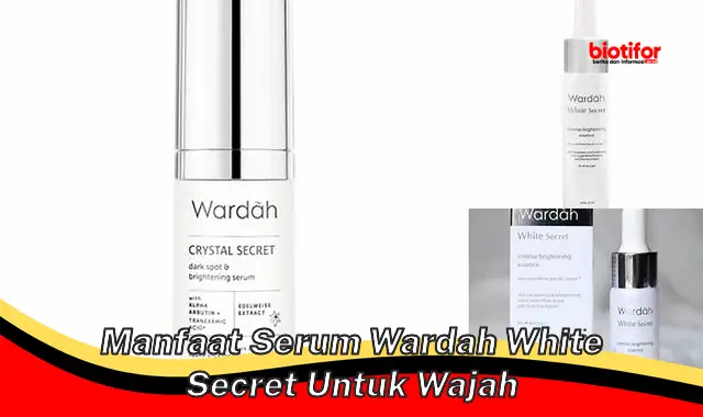 manfaat serum wardah white secret untuk wajah