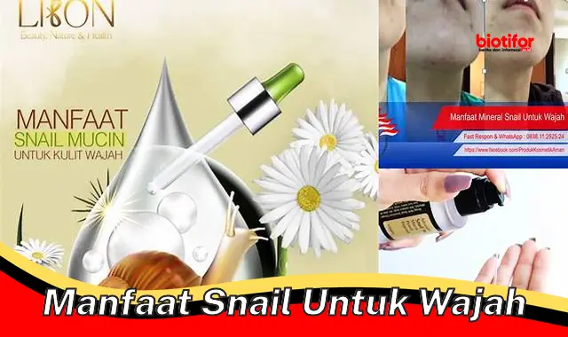 manfaat snail untuk wajah