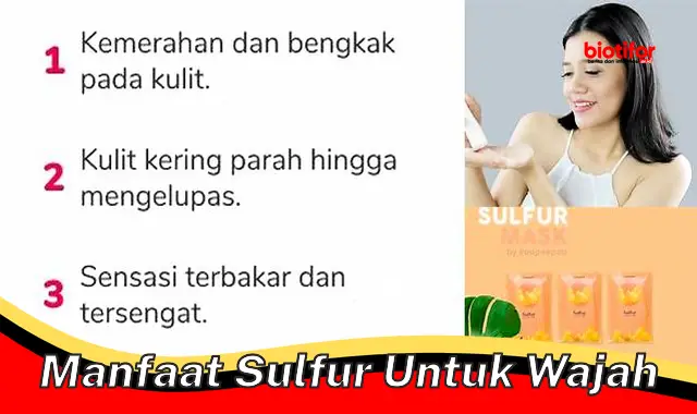 manfaat sulfur untuk wajah