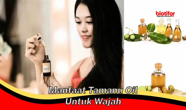 manfaat tamanu oil untuk wajah