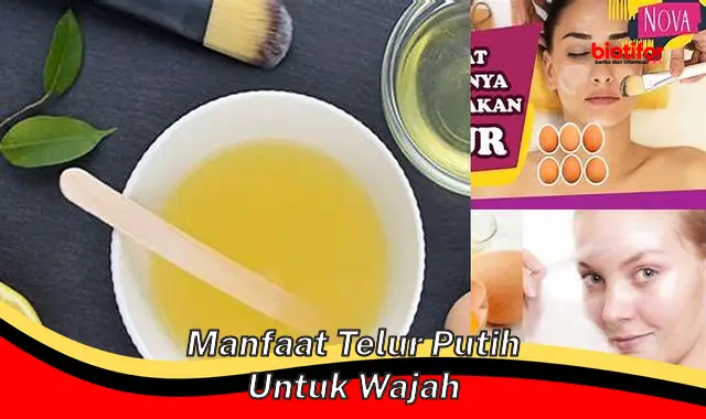 Temukan 5 Manfaat Putih Telur untuk Wajah yang Jarang Diketahui