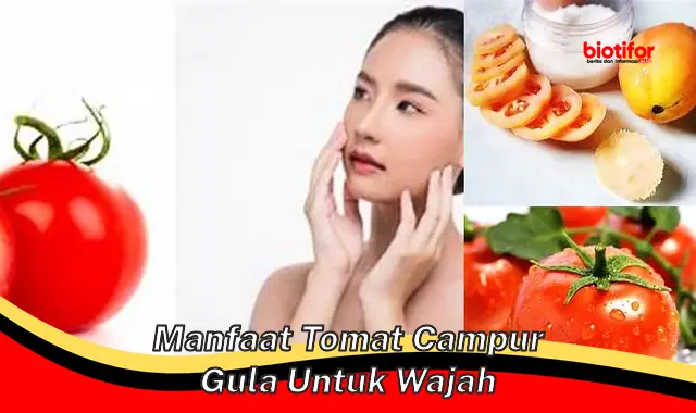 5 Rahasia Terbukti Manfaat Tomat Campur Gula untuk Wajah