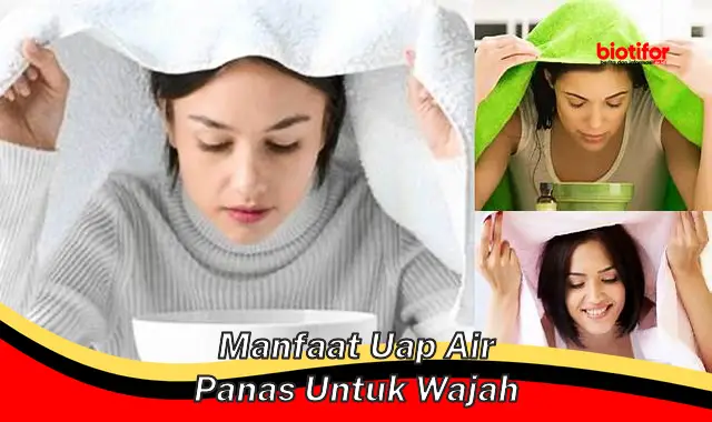 manfaat uap air panas untuk wajah