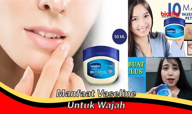 manfaat vaseline untuk wajah