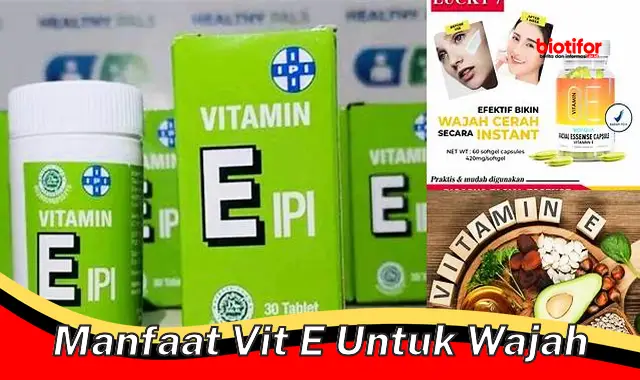 manfaat vit e untuk wajah