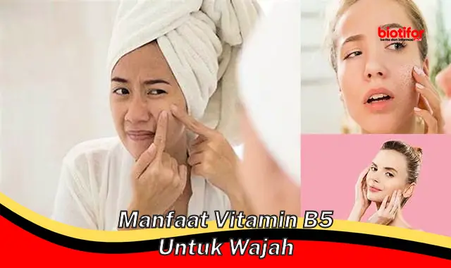 manfaat vitamin b5 untuk wajah