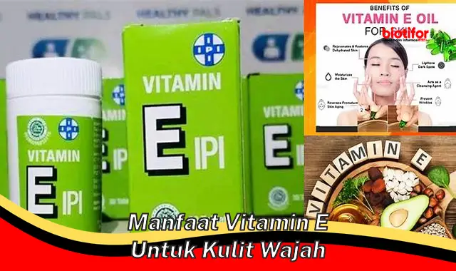 Temukan Rahasia Vitamin E untuk Kulit Wajah Anda