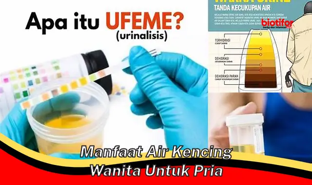 manfaat air kencing wanita untuk pria