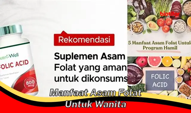 manfaat asam folat untuk wanita