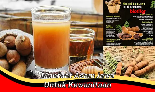 Temukan Manfaat Asam Jawa Untuk Wanita Yang Jarang Diketahui Biotifor