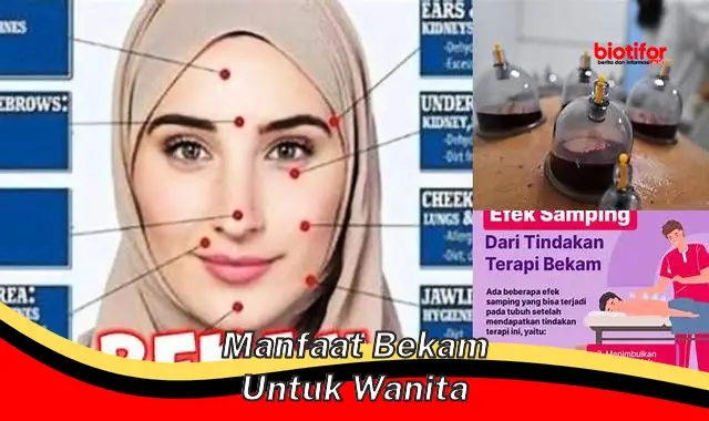 manfaat bekam untuk wanita