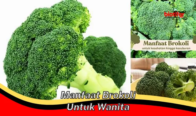 manfaat brokoli untuk wanita