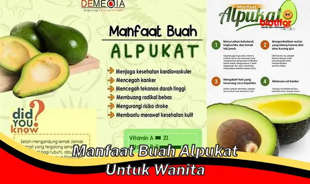 manfaat buah alpukat untuk wanita