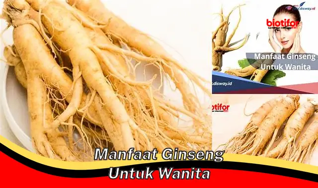 manfaat ginseng untuk wanita