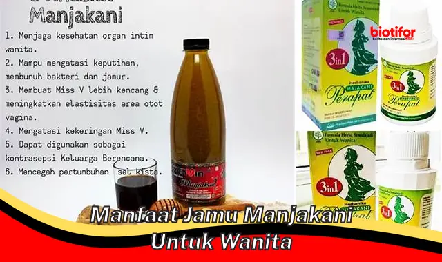 manfaat jamu manjakani untuk wanita