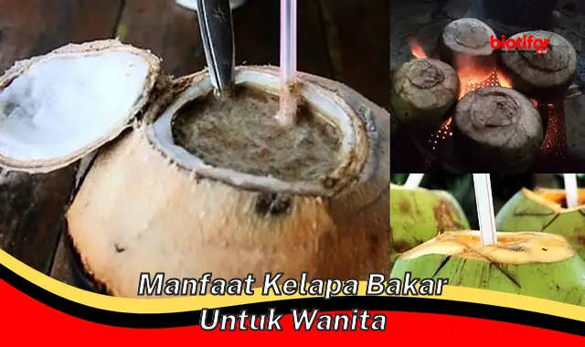 manfaat kelapa bakar untuk wanita