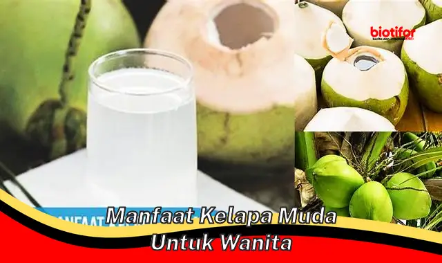 manfaat kelapa muda untuk wanita