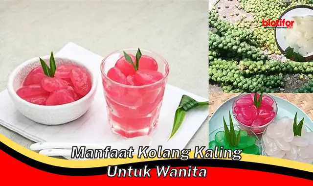 manfaat kolang kaling untuk wanita