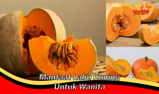 5 Manfaat Labu Kuning untuk Wanita yang Jarang Diketahui - Biotifor