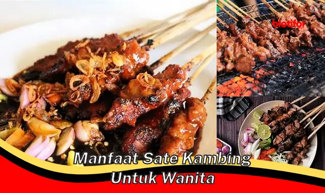 manfaat sate kambing untuk wanita