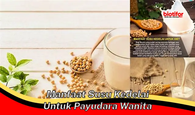 Temukan Manfaat Kedelai untuk Payudara Wanita, Dijamin Jarang Diketahui