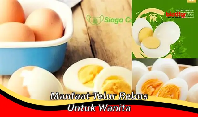 manfaat telur rebus untuk wanita