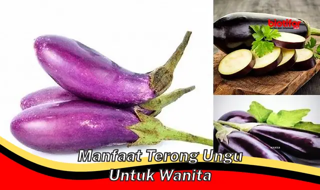 manfaat terong ungu untuk wanita