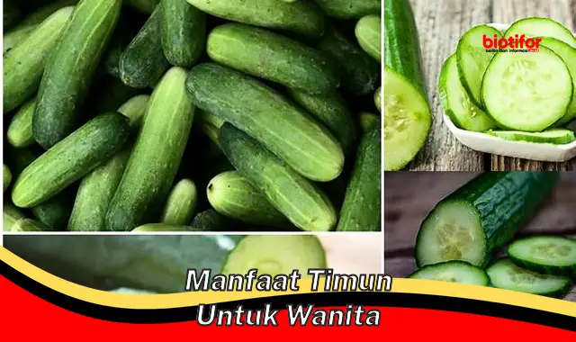 manfaat timun untuk wanita