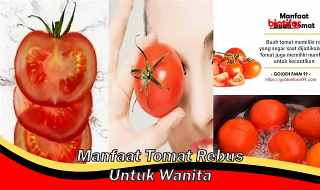 manfaat tomat rebus untuk wanita