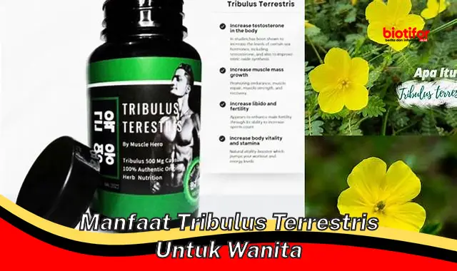 manfaat tribulus terrestris untuk wanita