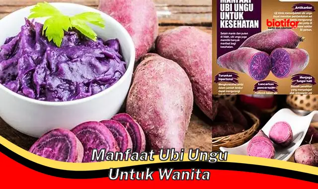 manfaat ubi ungu untuk wanita