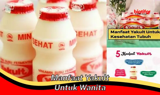 Temukan 5 Manfaat Yakult untuk Wanita yang Jarang Diketahui