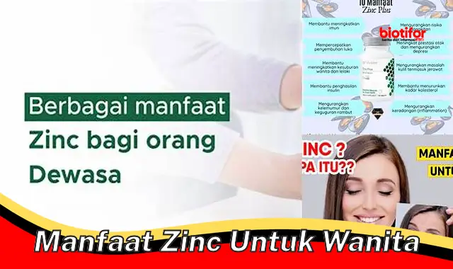 manfaat zinc untuk wanita