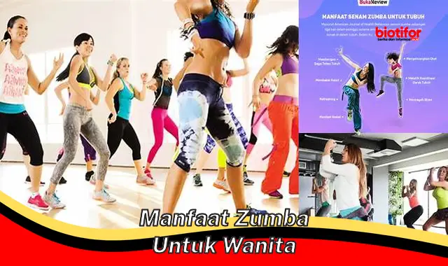 manfaat zumba untuk wanita