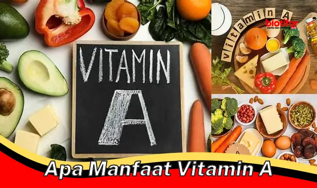 apa manfaat vitamin a