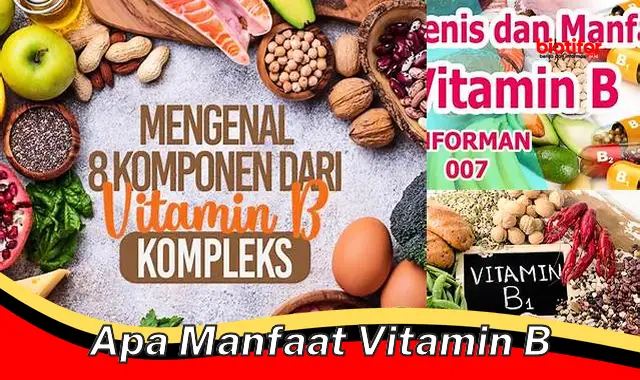 Temukan Manfaat Vitamin B yang Jarang Diketahui dan Wajib Anda Tahu ...