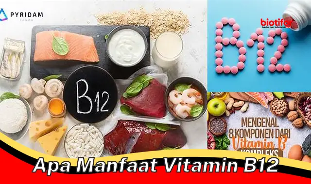 apa manfaat vitamin b12