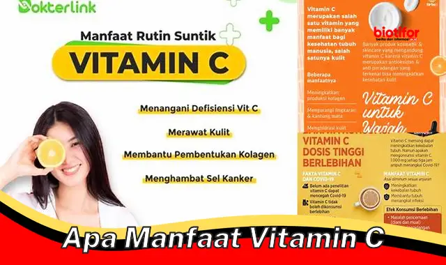 apa manfaat vitamin c